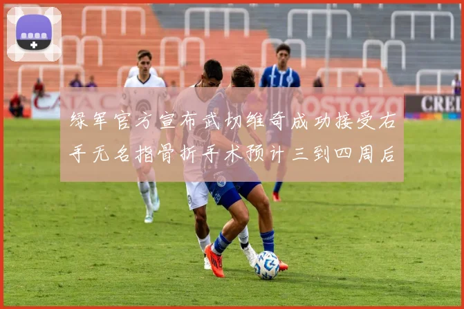 绿军官方宣布武切维奇成功接受右手无名指骨折手术预计三到四周后复查